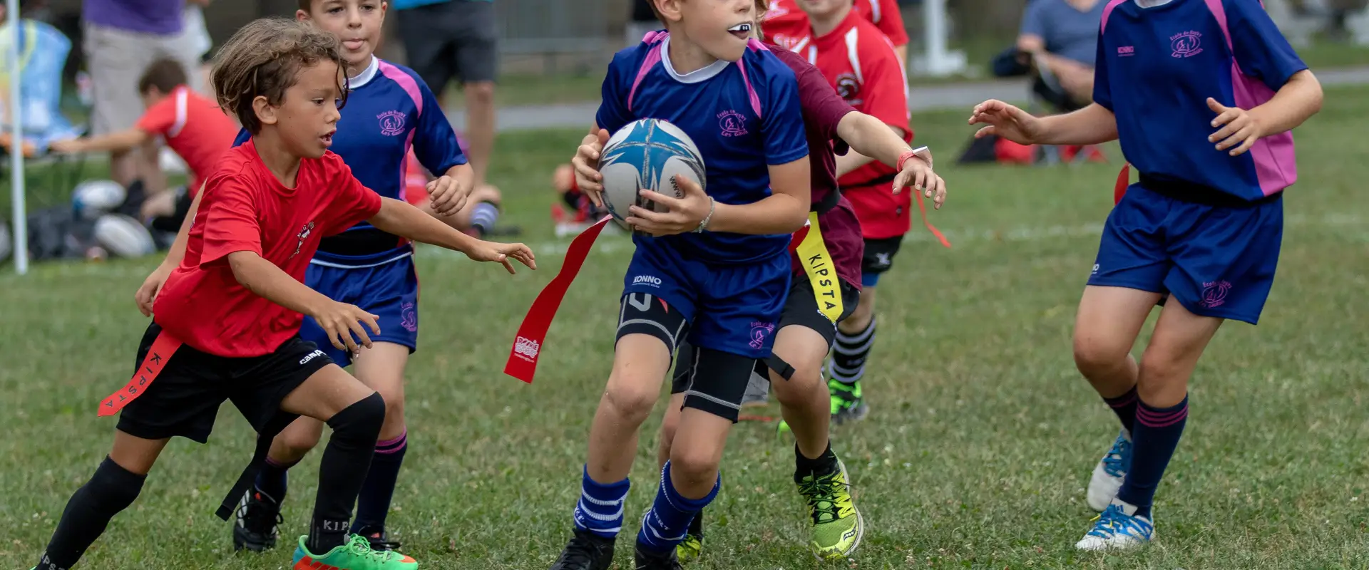 cole de Rugby les Gaulois