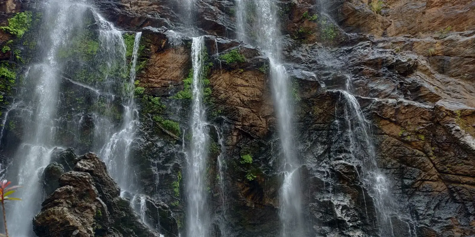 Wild Planet Jungle Resort, Dandeli
