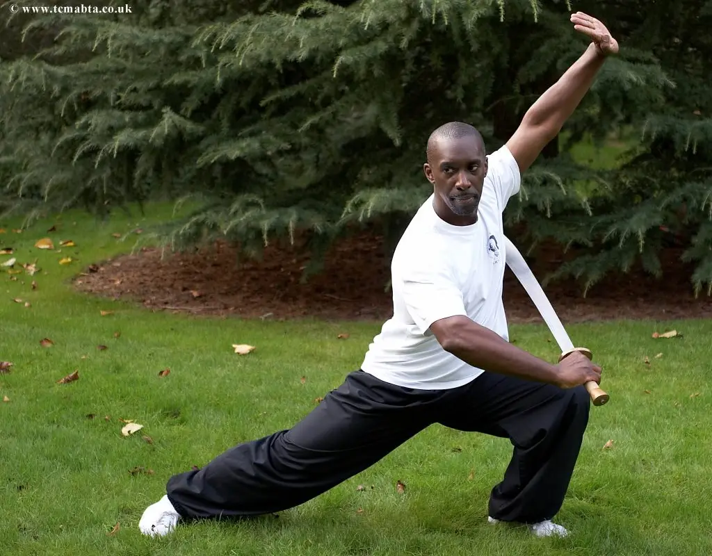 Traditional Chinese Martial Arts and Black Tiger Association