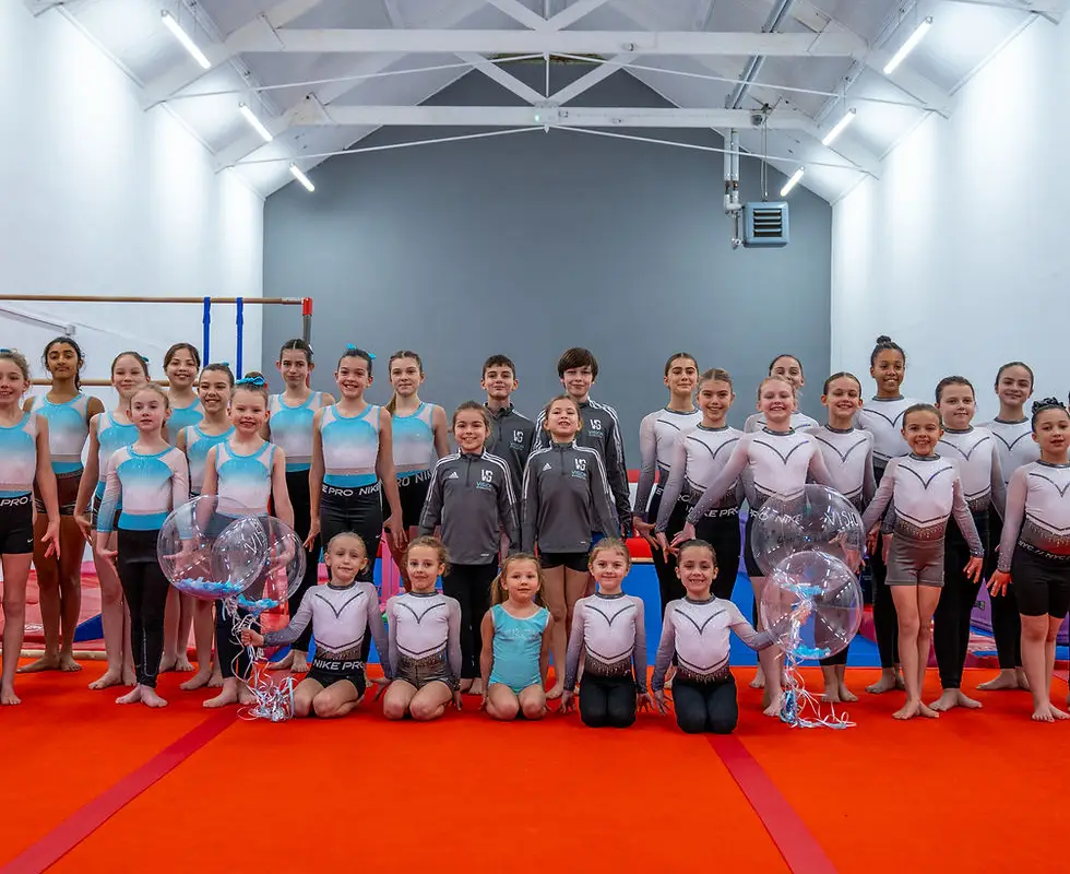 Vision Gymnastics