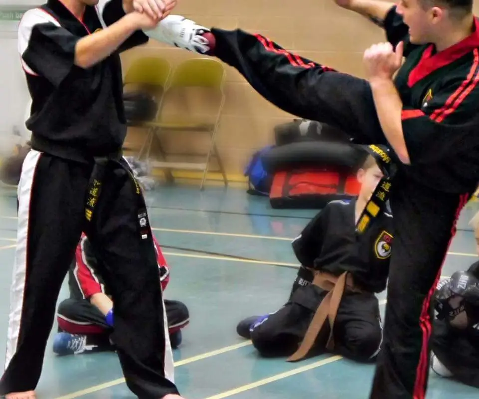 United Sport Karate Organisation