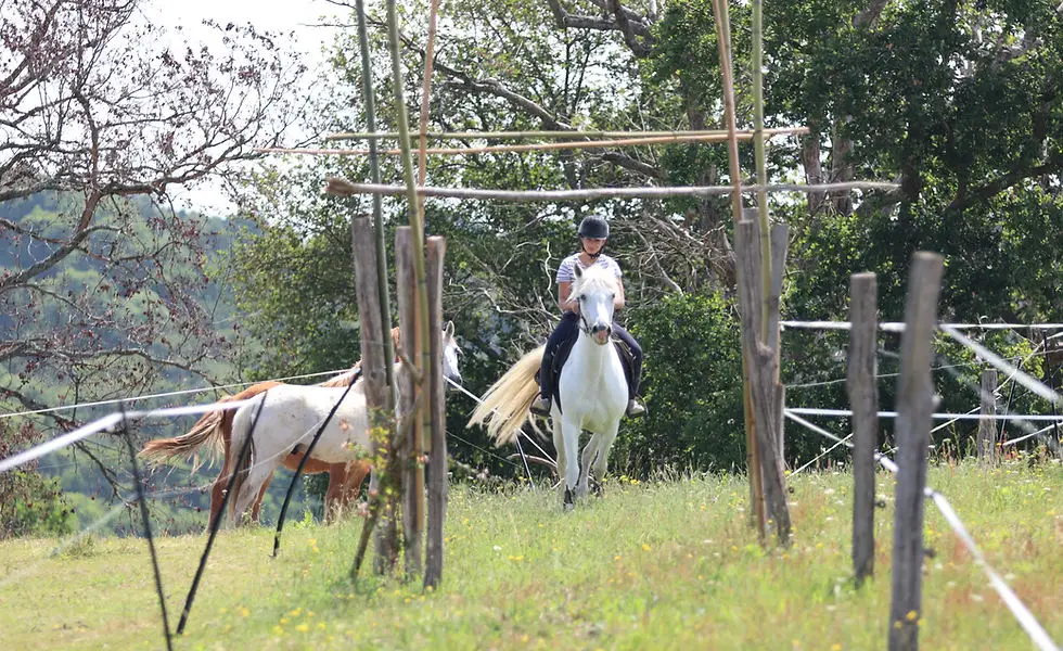 Parc D'aventures À Cheval