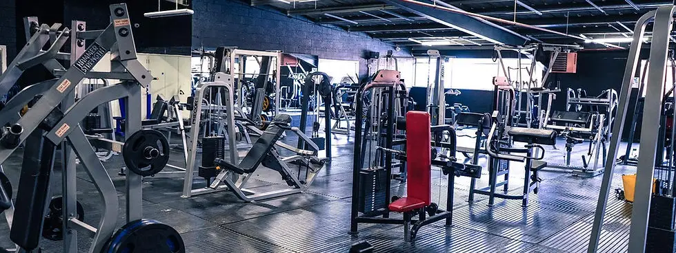 LRF 2 Gym