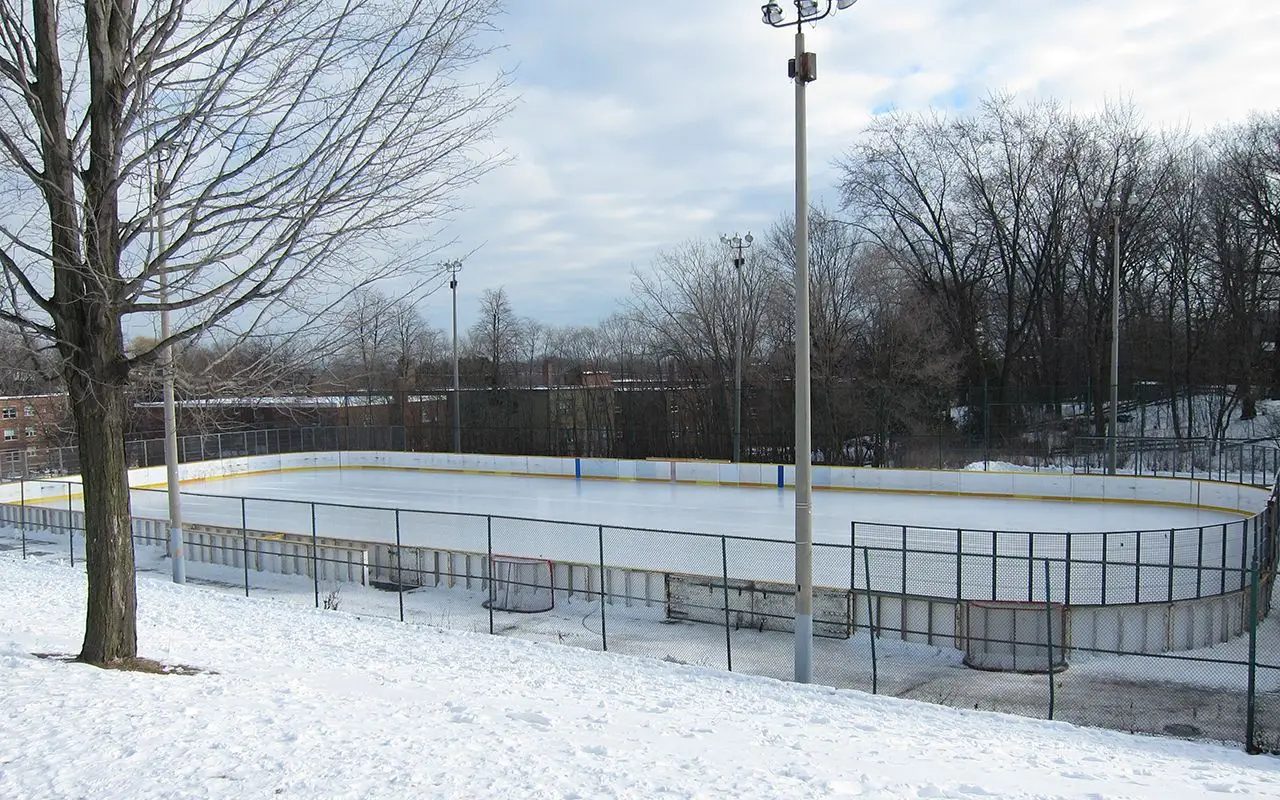 Humber Valley Rink