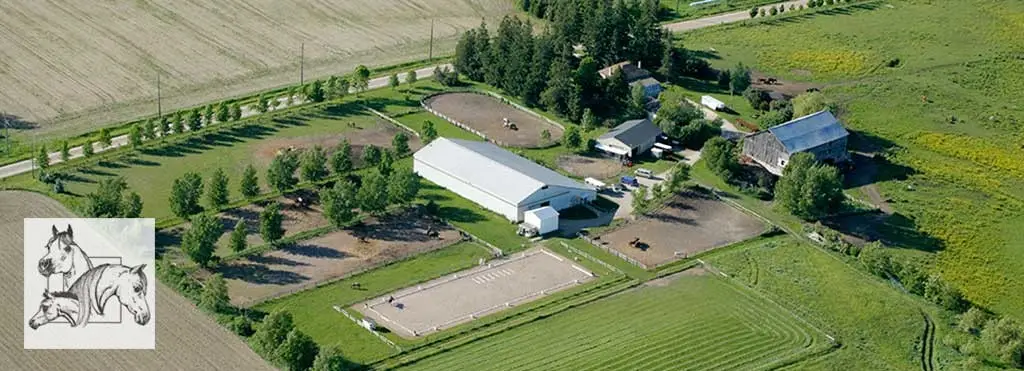 Travis Hall Equestrian Centre