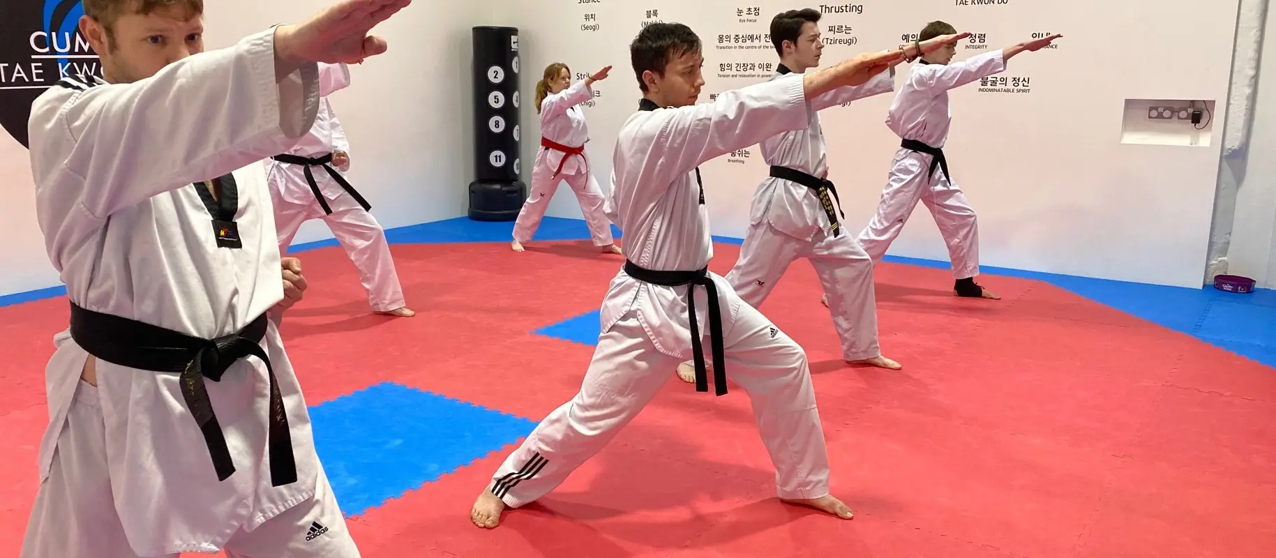 Cumbria Taekwondo Milnthorpe