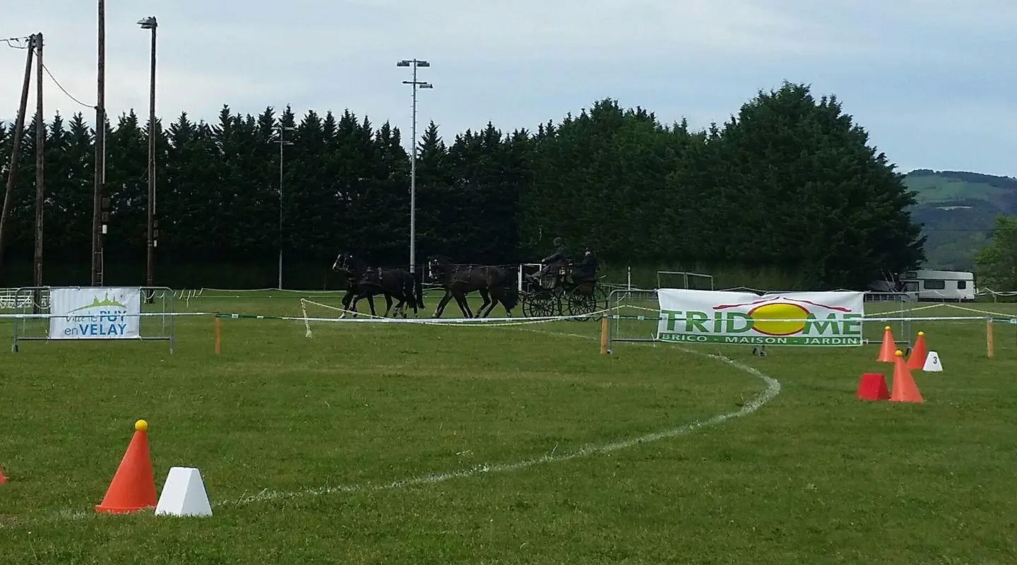 Les Ecuries Aniciennes