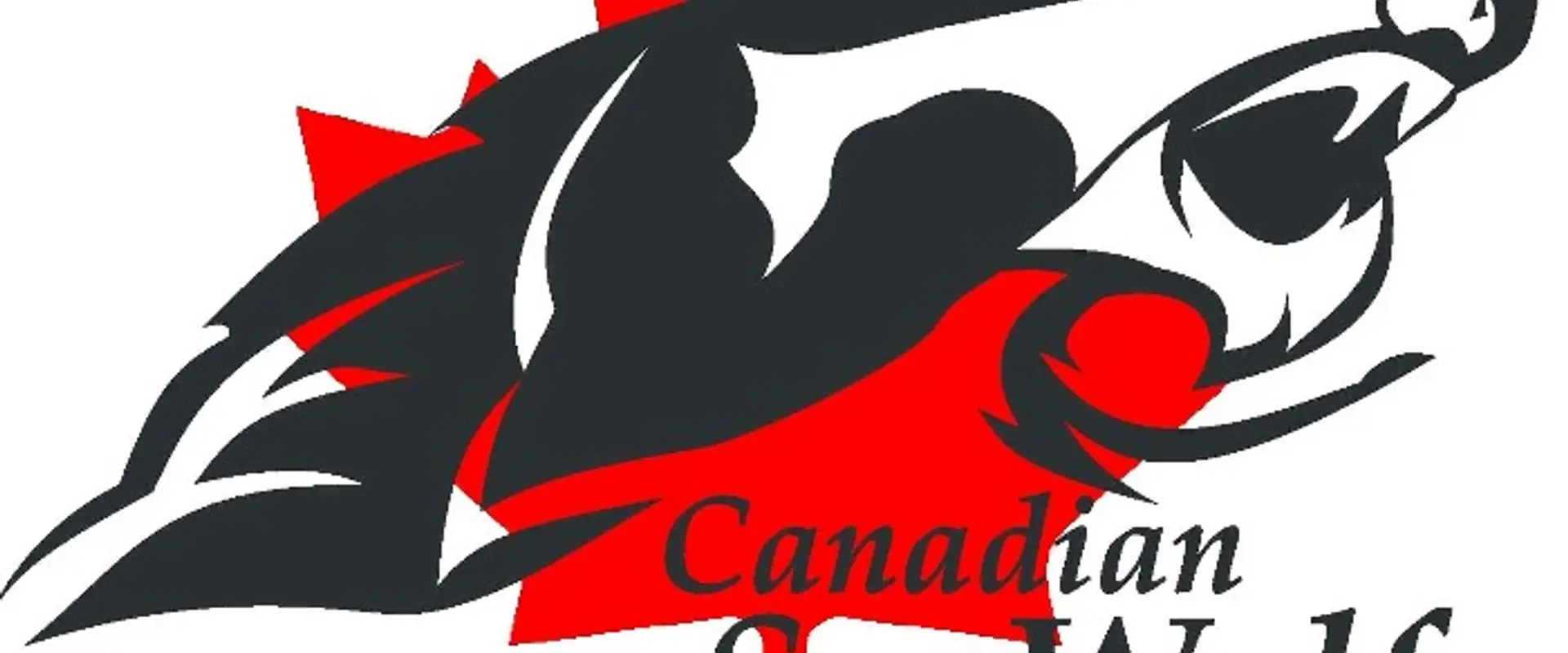 Canadian Seawolf Swim Club