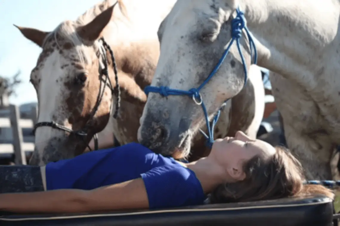 Reiki from the Farm
