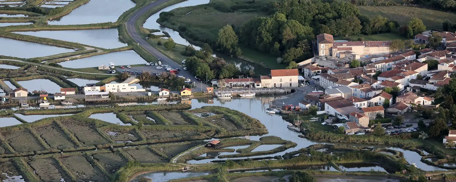 Kayak Et Nature En Seudre