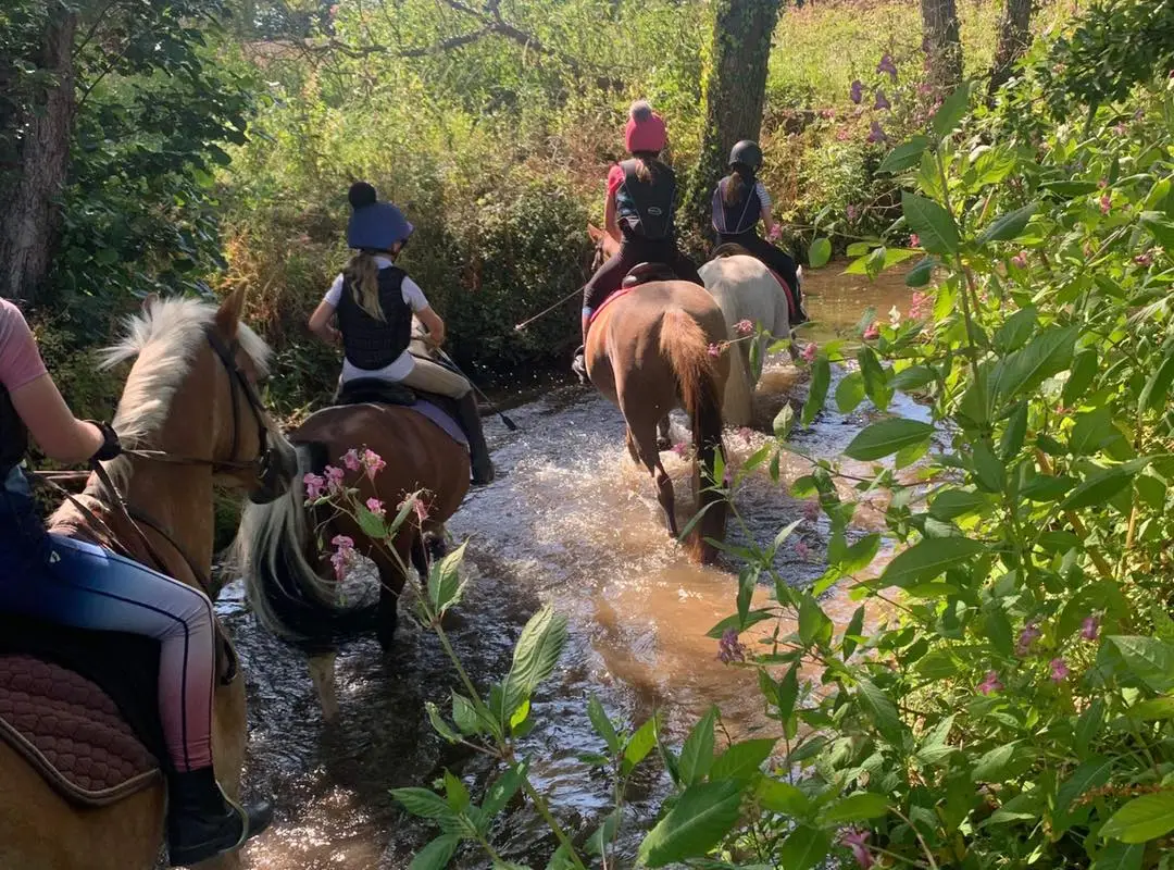 Drakes Farm Riding Centre