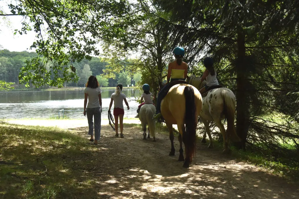 Ranch Lauzerat / Cg Reining Horses