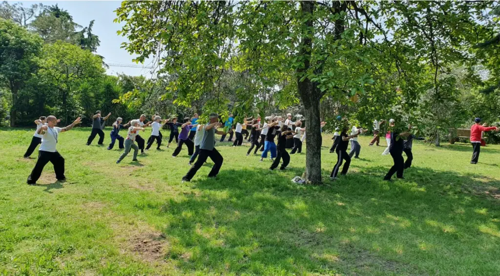Tai Chi Chuan À Clermont-Ferrand