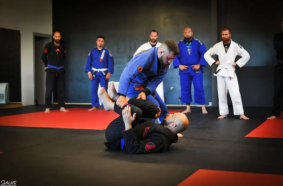 Brazilian Jiu-jitsu Evolution Annemasse
