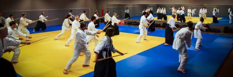 Aikido Club De Sceaux