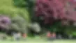 Fitz Park Bowling Club