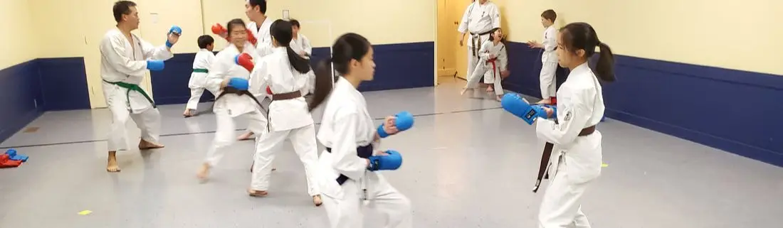 WSK World Shoseikan Karate - Vancouver Marpole Dojo