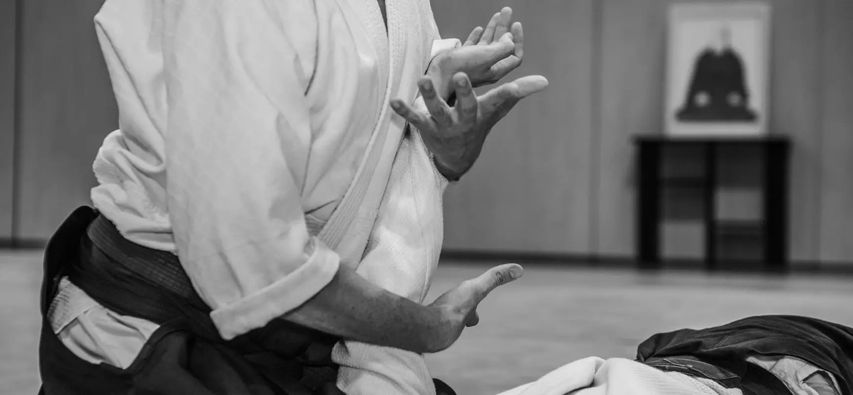 Blue Aikido