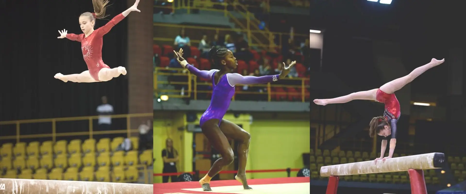 Brandon Eagles Gymnastics Centre