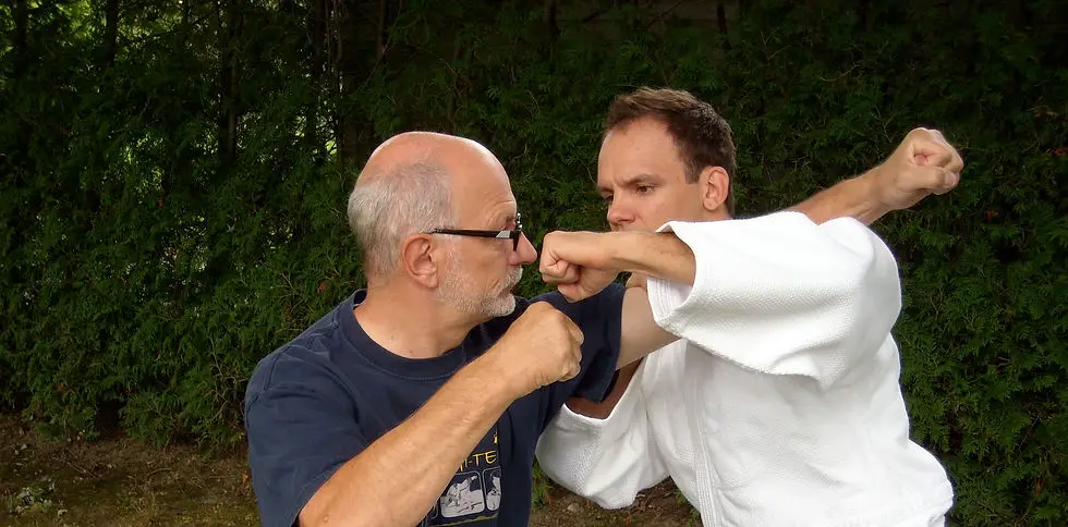 Dojo volution