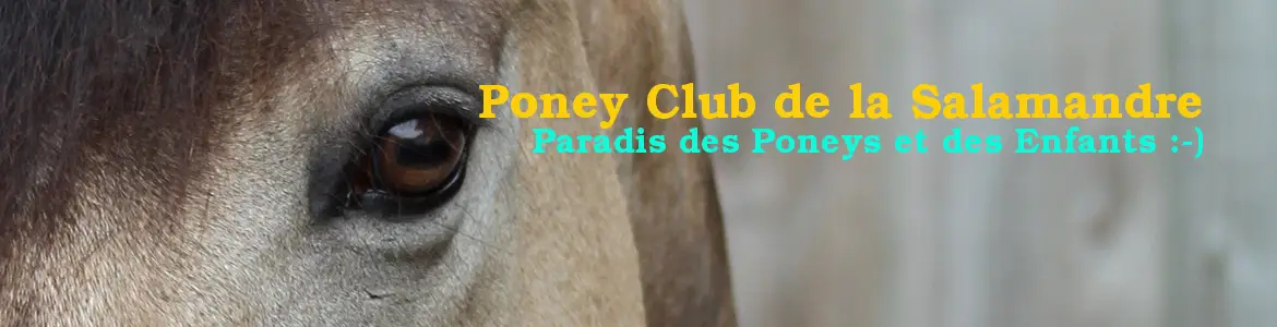PONEY CLUB DE LA SALAMANDRE