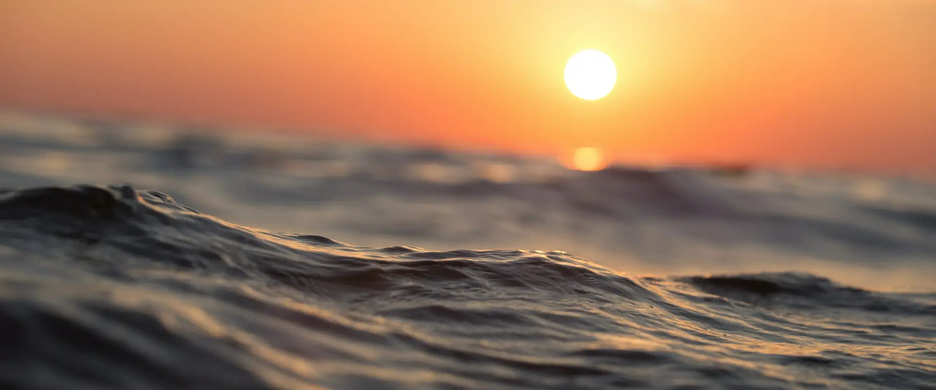 Safe Ocean