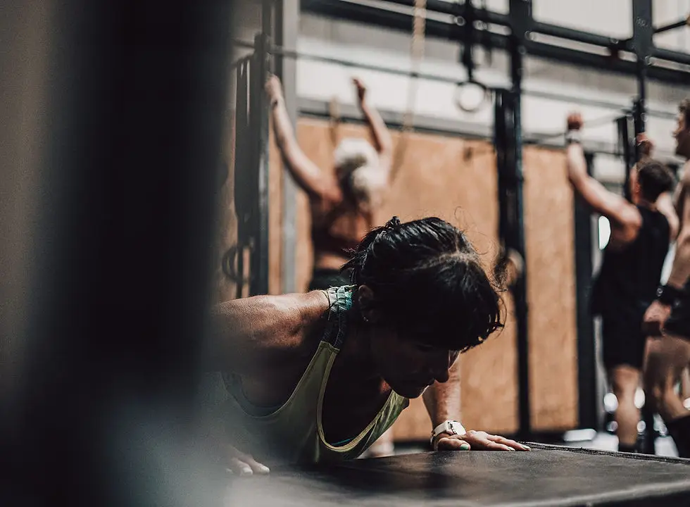 Black Wolf Fitness