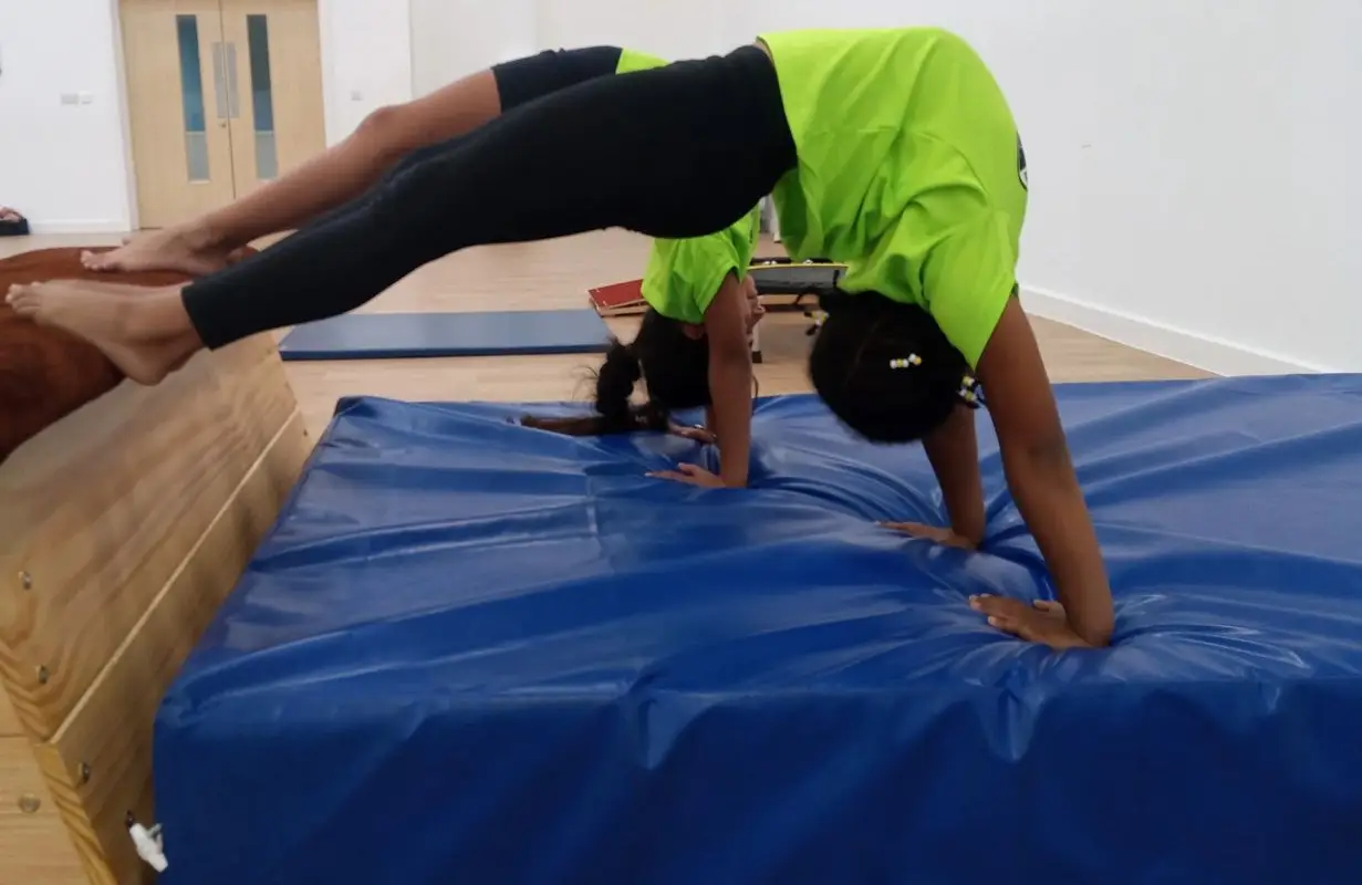 Zebra Sports Gymnastics