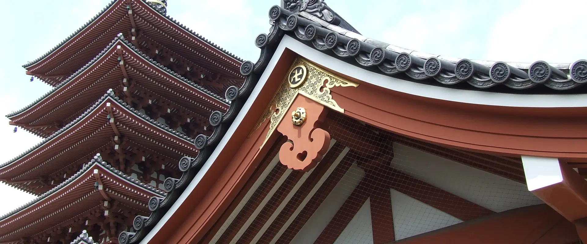 Seishin Budo Dojo UK