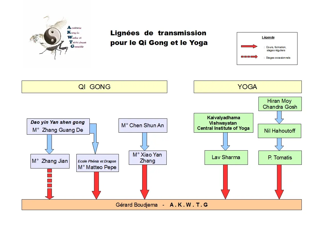 AKWTG (Académie Kung fu Wushu et Taichi chuan de Grenoble)