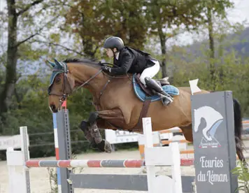 CENTRE EQUESTRE DU MONT BLANC
