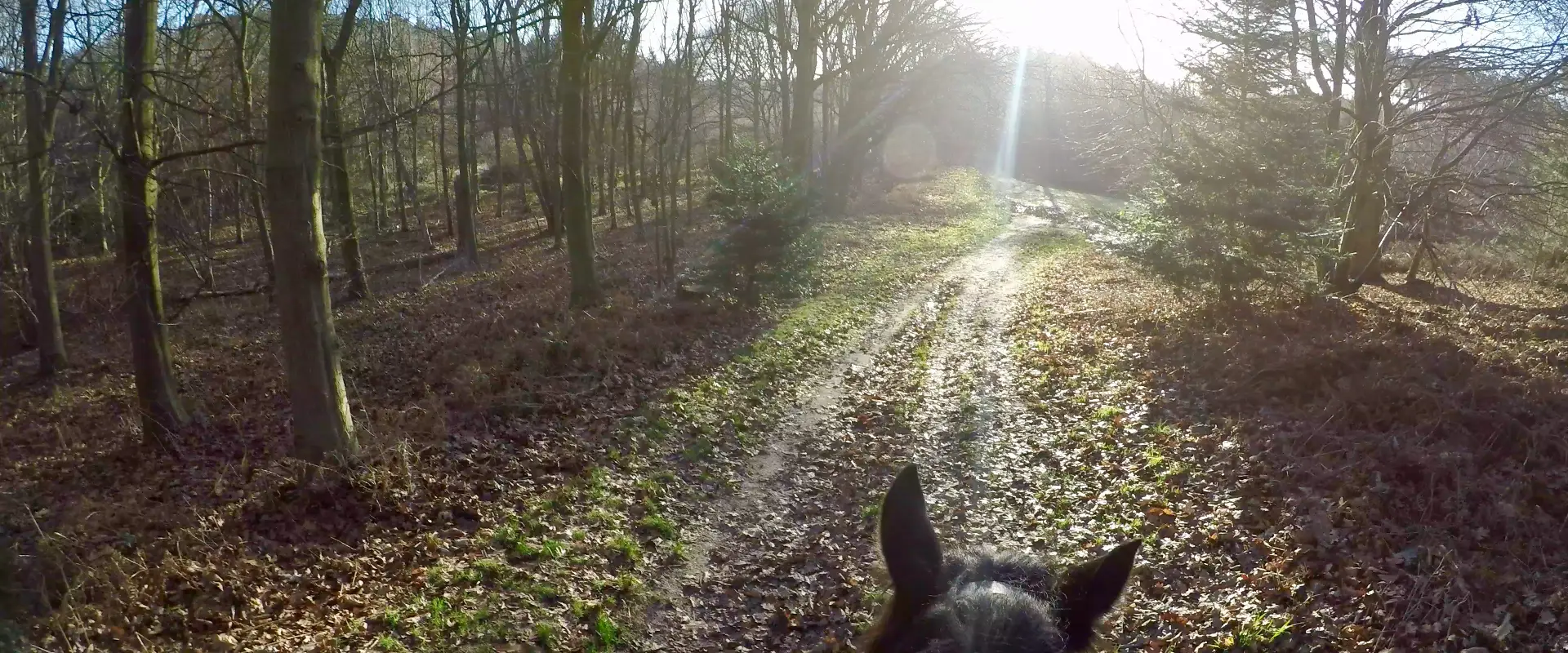 Squirrel Wood Equestrian Centre