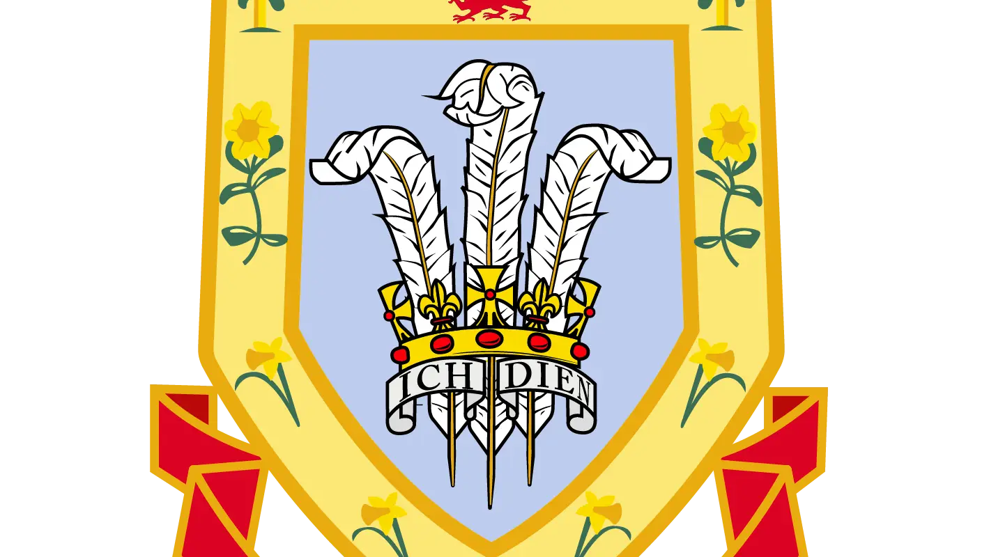 Central Wales Football Association