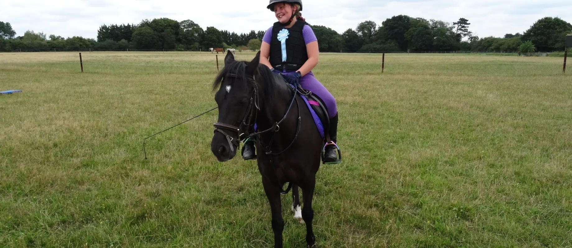 Sacha Hamilton Equestrian