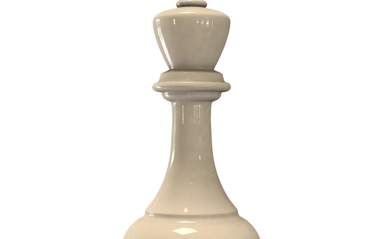 MAGNUM PROFESSIONAL CHESS ACADEMY