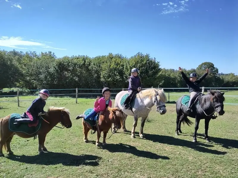 Equi-Free In Berry