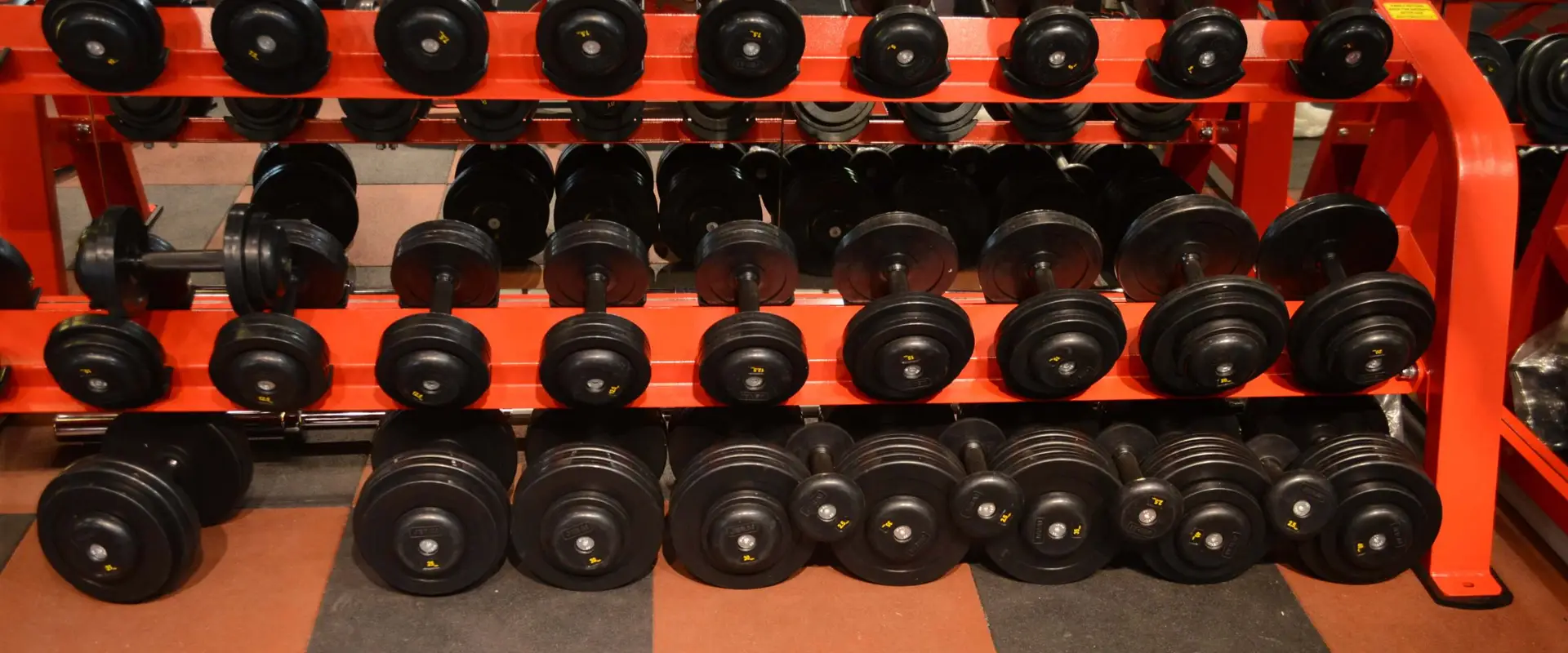 Sansare Fitness