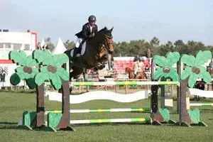 Crockleford Stud