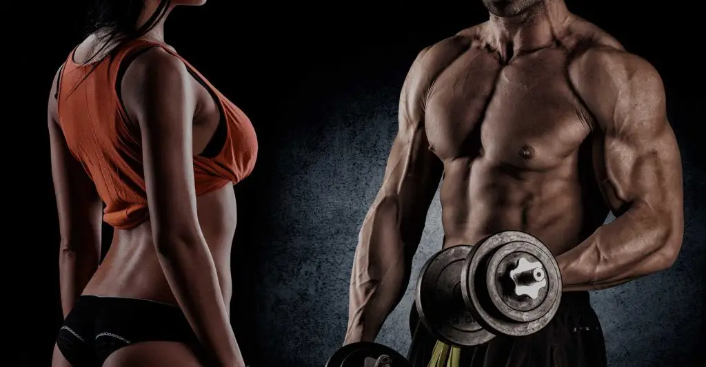 FITBODY