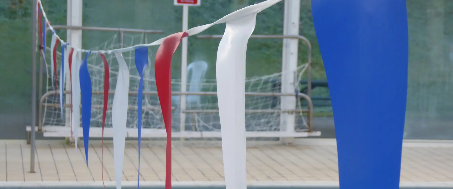 Dolphin Ladies Swimming Club