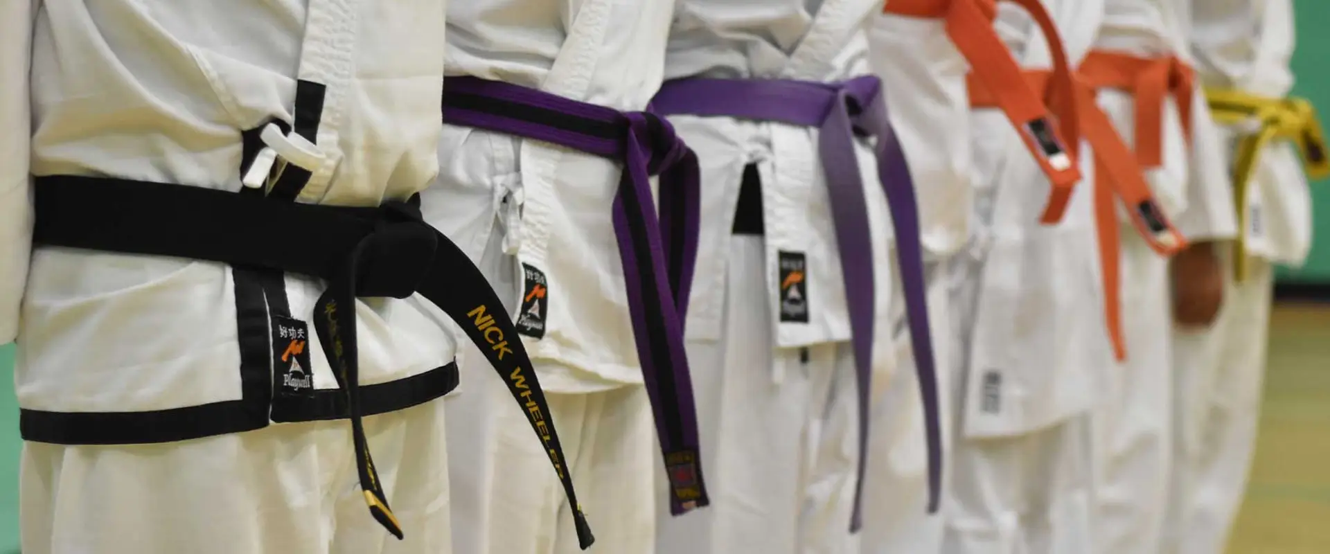 Winchester Choi Kwang Do Martial Art