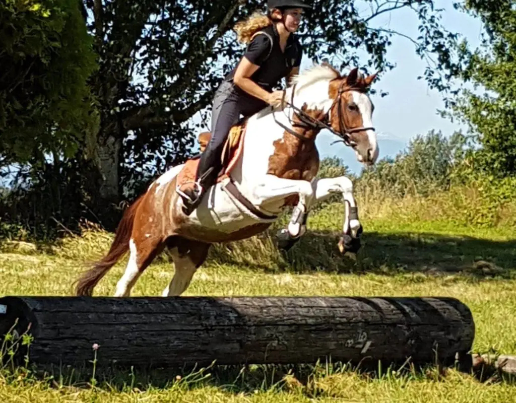 Sacred Equestrians
