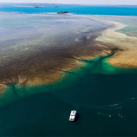 Ocean Dream Charters