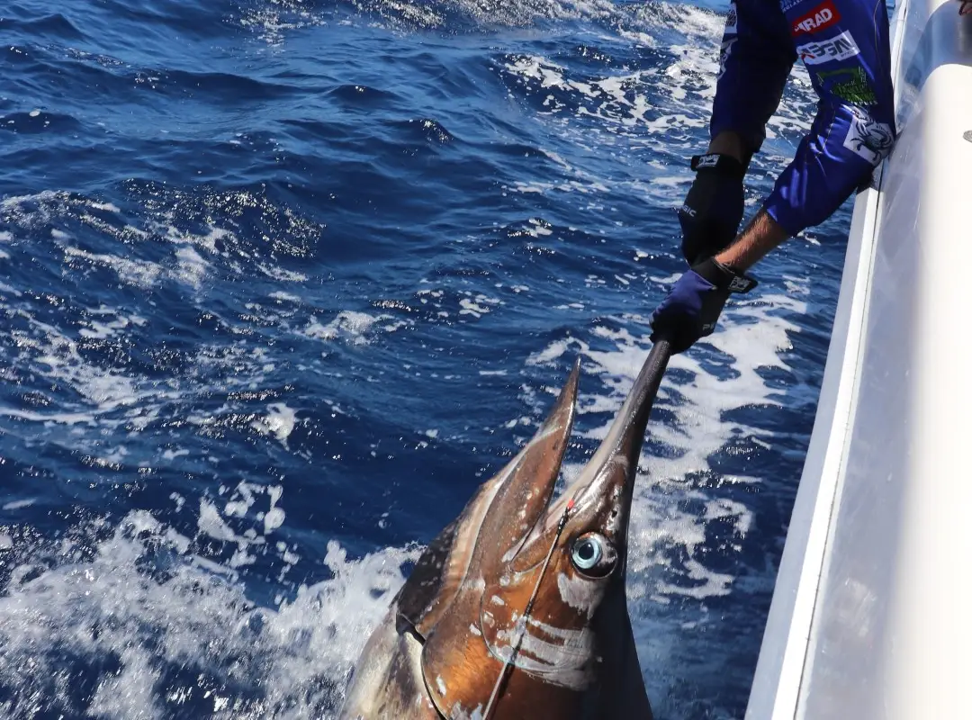 Evolution Fishing Charters