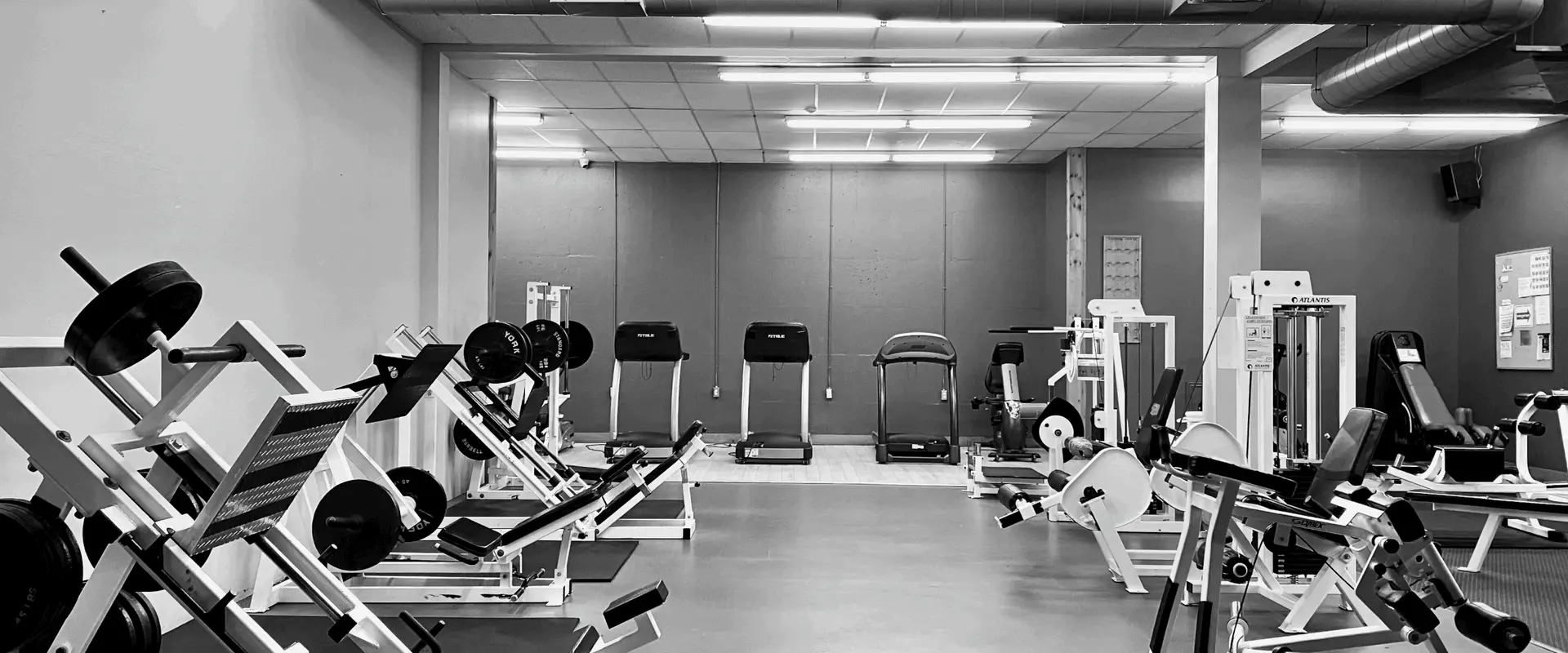 Total Iron Fitness