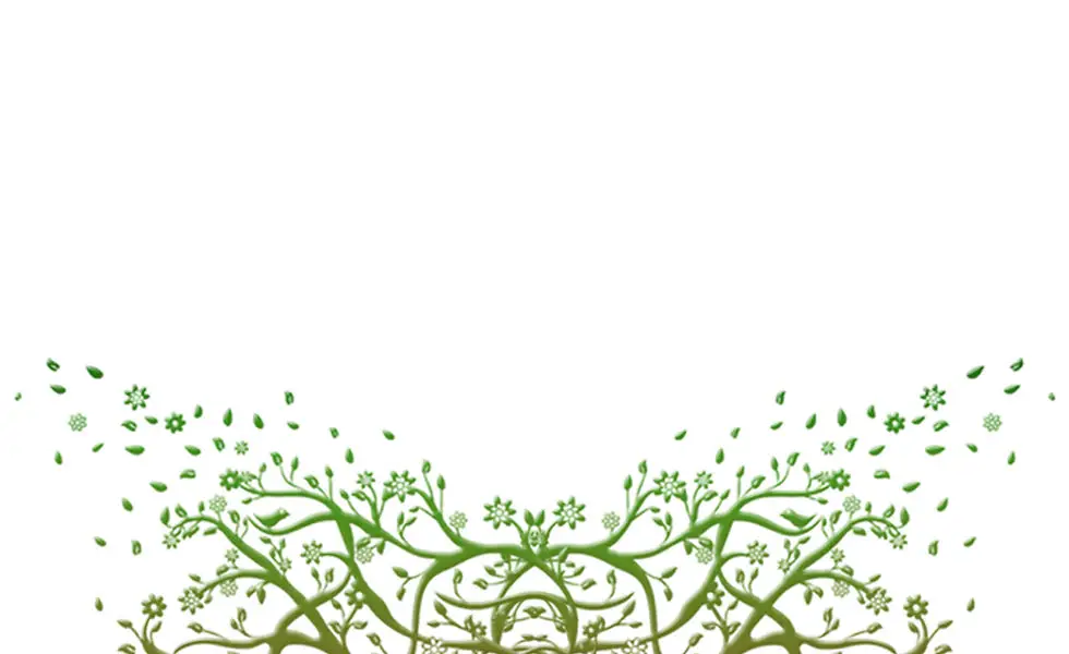 SKR Dance Studio