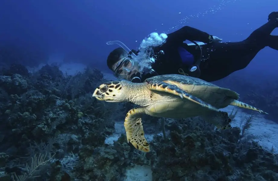 Scuba Goa