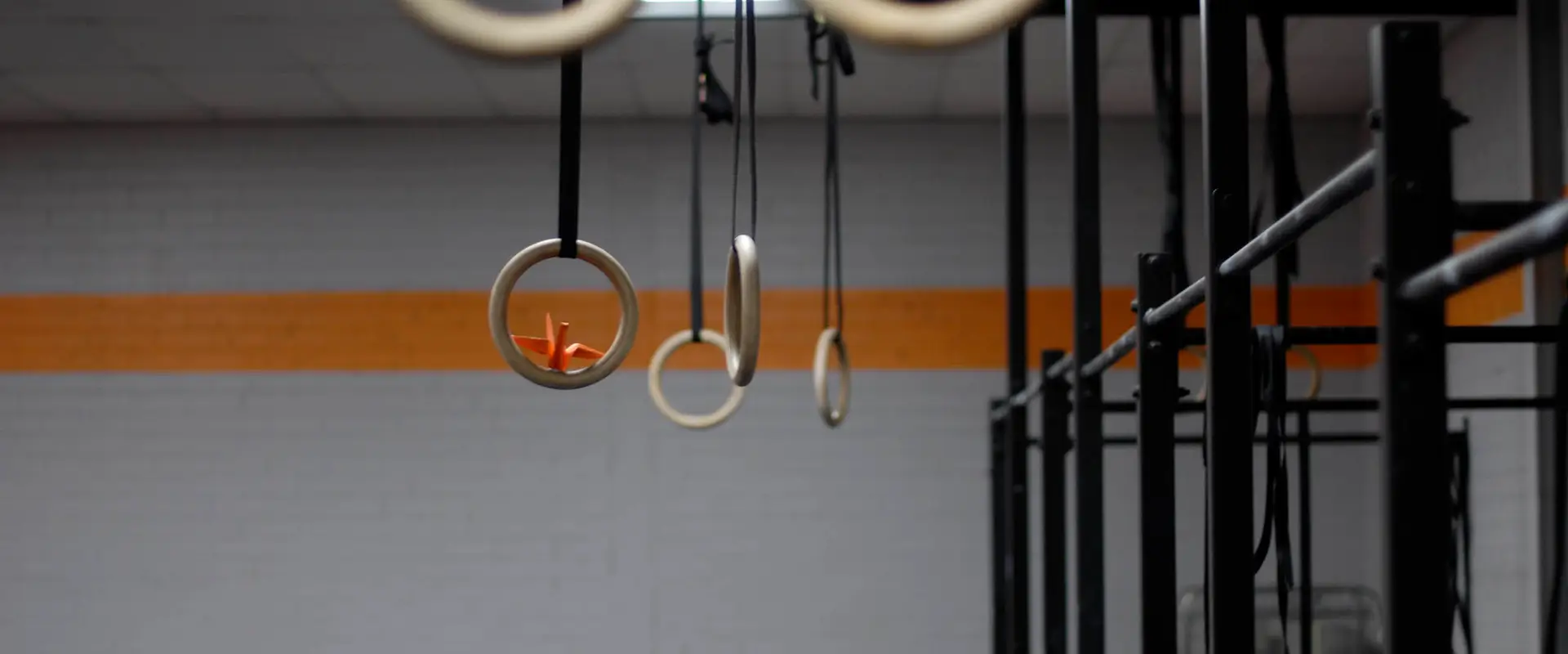 Human Garage Fitness