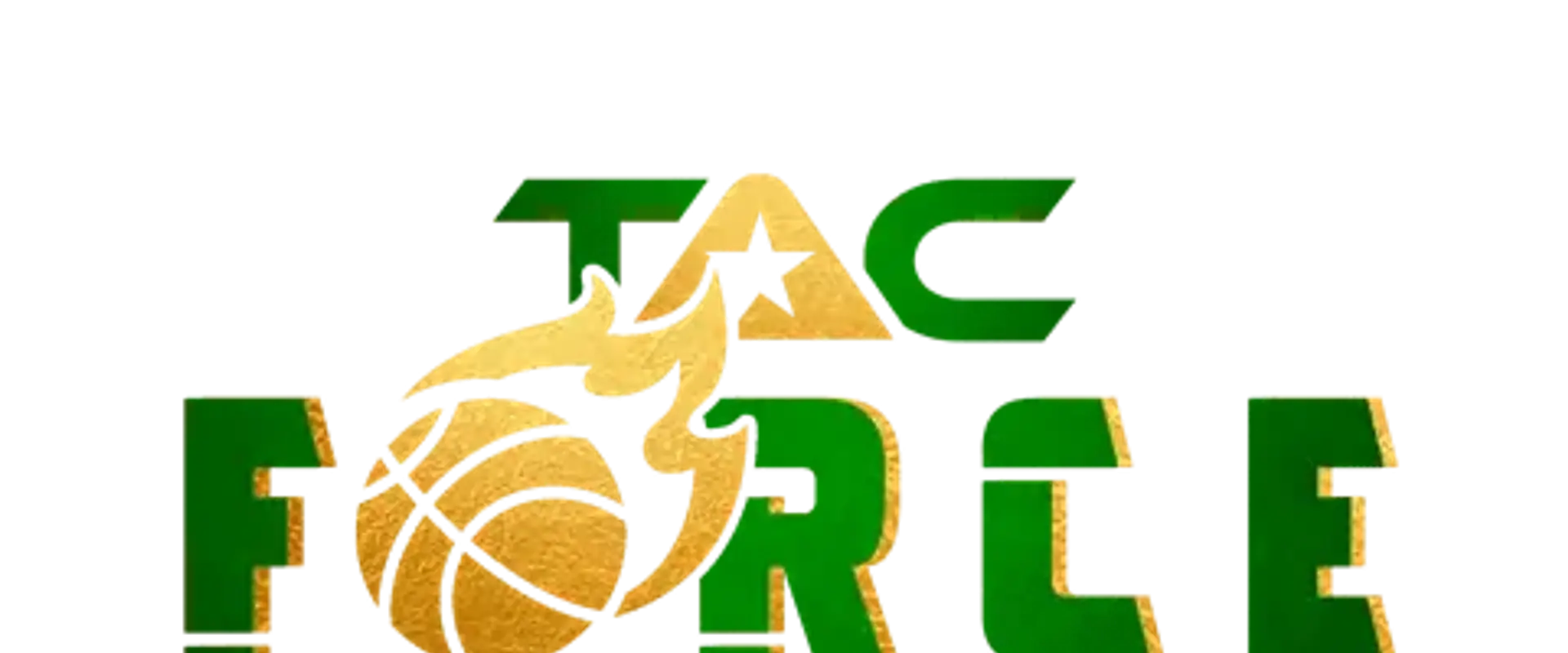 TAC Force Basketball Academy