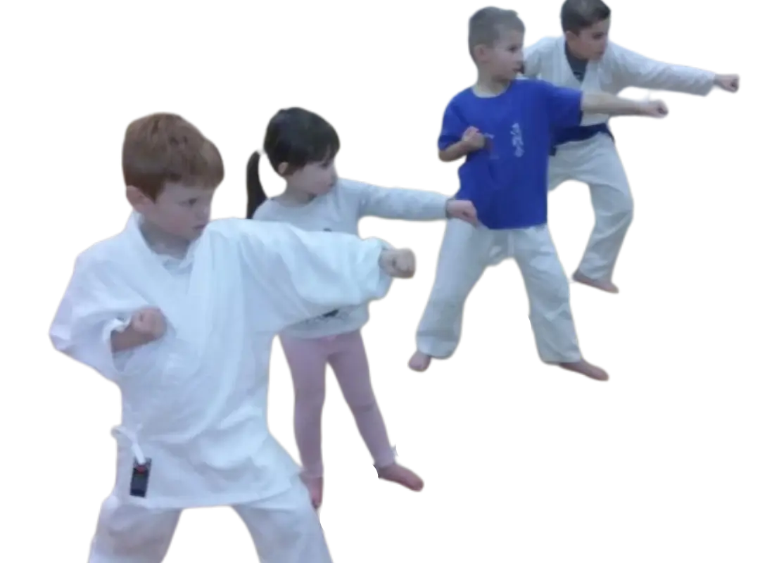 Full Contact Karate Concepts - Shinsenkai